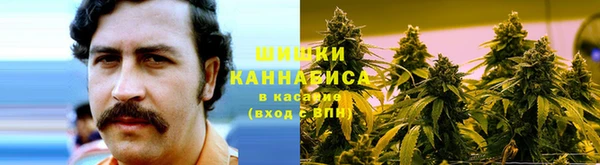 дживик Володарск