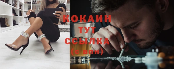дживик Володарск