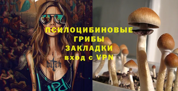 дживик Володарск