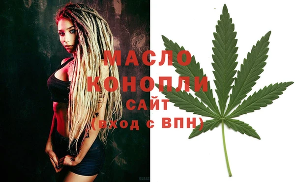 дживик Володарск