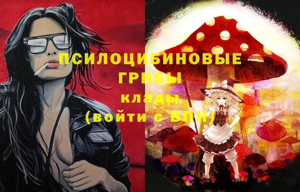 дживик Володарск