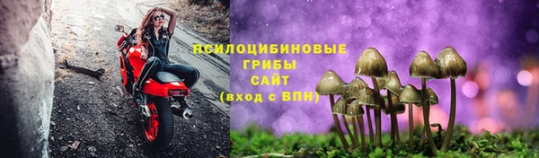 соль ск Вяземский