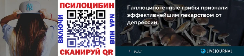 Псилоцибиновые грибы GOLDEN TEACHER  Заозёрный 